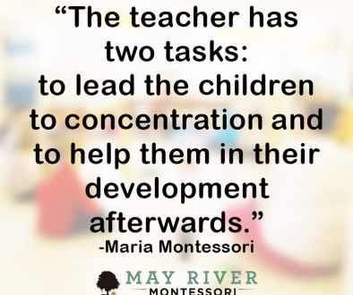 mayrivermontessori.com-teacher_quote
