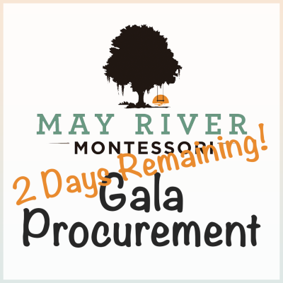 gala_procurement_2_days-2023-2024